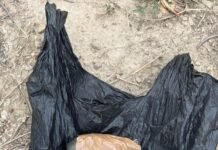 TWO LINKED TO CROSS-BORDER TERROR MODULE HELD WITH TWO HAND GRENADES IN AMRITSAR