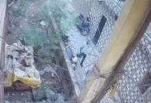 सेक्टर-37 में बुजुर्ग महिला से झपटमारी, CCTV में कैद हुई वारदात