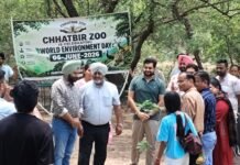 विश्व पर्यावरण दिवस पर छत्तबीड़ चिड़ियाघर की अनूठी पहल: पर्यटक बने हरित प्रहरी