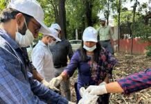 5 जून को गुरुग्राम में होगा राज्य स्तरीय विश्व पर्यावरण दिवस समारोह- राव नरबीर सिंह