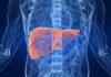 Fatty Liver Day 2026: फैटी लिवर बन सकता है लिवर कैंसर की वजह, डॉक्टरों ने बताए बचाव के उपाय