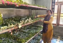 ग्रामीण अर्थव्यवस्था को सुदृढ़ करने की दिशा में “सुक्खू सरकार” उठा रही ठोस कदम