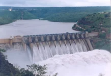 भाखड़ा डैम में बढ़ा जलस्तर, बीबीएमबी ने राज्यों से अधिक पानी उपयोग करने का किया आग्रह