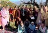 तमरोह क्लस्टर में जापानी फल की दस्तकः एचपी शिवा परियोजना बनी सहारा