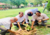 गुरुदेव की स्मृति में राष्ट्रीय विराग मंच का पौधारोपण अभियान, 36 पौधे लगाकर दिया पर्यावरण संरक्षण का संदेश