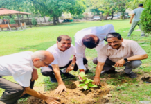 गुरुदेव की स्मृति में राष्ट्रीय विराग मंच का पौधारोपण अभियान, 36 पौधे लगाकर दिया पर्यावरण संरक्षण का संदेश