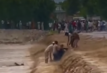 बाइक समेत नहर में गिरा युवक, ग्रामीणों की बहादुरी से बची जान