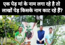 ऋषिकेश में पेड़ों की कटाई पर बढ़ा विरोध, वन संरक्षण की मांग को लेकर लोगों का प्रदर्शन