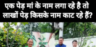 ऋषिकेश में पेड़ों की कटाई पर बढ़ा विरोध, वन संरक्षण की मांग को लेकर लोगों का प्रदर्शन