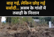 असम में बाढ़ की तबाही: शिवसागर के नेपालीखुटी में घर-खेत तबाह, गाद के बीच जिंदगी पटरी पर लाने की जद्दोजहद