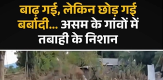 असम में बाढ़ की तबाही: शिवसागर के नेपालीखुटी में घर-खेत तबाह, गाद के बीच जिंदगी पटरी पर लाने की जद्दोजहद