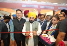 Govt Is Also Considering Leasing Trains From Railways to Strengthen Industrial Growth: CM Bhagwant Singh Mann