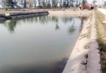 40 वर्ष पुरानी पानी की समस्या के स्थायी समाधान पर कारसिंधु के ग्रामीणों ने सिंचाई मंत्री श्रुति चौधरी का जताया आभार