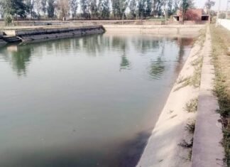 40 वर्ष पुरानी पानी की समस्या के स्थायी समाधान पर कारसिंधु के ग्रामीणों ने सिंचाई मंत्री श्रुति चौधरी का जताया आभार
