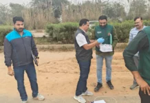 दिल्ली में बड़ी आतंकी साजिश नाकाम: ISI से जुड़े चार आरोपी गिरफ्तार, दिल्ली-NCR था निशाने पर