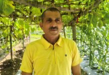 प्राकृतिक खेती से बदली सुनील कुमार की तकदीर: खनोट गांव के प्रगतिशील किसान दो बीघा भूमि से कमा रहे सालाना डेढ़ से दो लाख रुपये