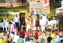 Akali Dal eager to join hands with BJP that killed farmers: CM Bhagwant Singh Mann