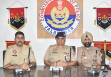 Jalandhar Police Register 1,201 NDPS Cases, Arrest 1,440 Drug Traffickers in 7 Months