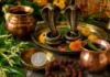 नाग पंचमी पर घर लाएं ये शुभ चीजें, मान्यता है सुख-समृद्धि और सकारात्मकता बढ़ाने में मिलती है मदद