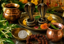 नाग पंचमी पर घर लाएं ये शुभ चीजें, मान्यता है सुख-समृद्धि और सकारात्मकता बढ़ाने में मिलती है मदद