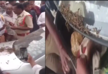 पुलिस की कार ने बाइक और ऑटो को मारी टक्कर, गाड़ी में मिला गांजा और शराब; 2 SI पर उठे सवाल