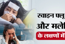Dengue vs Swine Flu: तेज बुखार डेंगू है या स्वाइन फ्लू? लक्षणों में ऐसे पहचानें फर्क