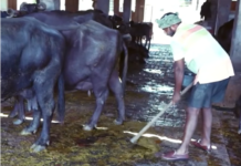 जनसेवा ही हमारा संकल्प, हर जरूरतमंद परिवार का सहारा