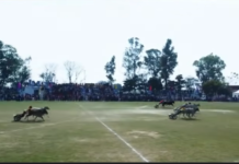 खेल के मैदानों से मजबूत होगा भाईचारा, युवाओं को मिलेगी नई दिशा