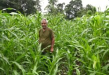 ‘सुक्खू सरकार’ के प्रयासों से आर्थिक समृद्धि की नई गाथा लिख रहे हैं जिला के किसान