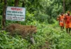 UP: कांवड़ रूट पर तेंदुओं का खौफ, वन विभाग के सामने बड़ी चुनौती; बिजनौर में संख्या 500 के करीब