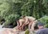 उफनती नदी में फंसी गाय, रातभर पुलिस ने रखा पहरा; सुबह रेस्क्यू कर बचाई जान