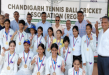 चंडीगढ़ टेनिस बॉल क्रिकेट चैंपियनशिप: प्रो एज अकादमी और बालिका वर्ग की टीम ने जीता खिताब