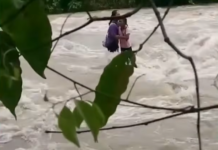 बाढ़ के पानी में फंसी मां और मासूम बेटी! मदद की आस में गुहार, दर्दनाक मंजर ने झकझोरा