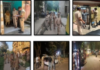 चंडीगढ़ में नशे के खिलाफ पुलिस का बड़ा अभियान, 4 केस दर्ज; 30.54 ग्राम हेरोइन बरामद