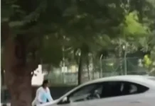 लखनऊ में हिट एंड रन का मामला, कार के बोनट पर युवती को लेकर भागा युवक