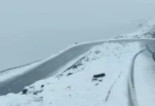 हिमाचल में सीजन की पहली बर्फबारी, सफेद चादर में लिपटे पहाड़ों का मनमोहक नजारा