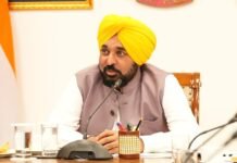 CM Bhagwant Singh Mann Calls For CII Collaboration To Promote Sustainable Crop Residue Management