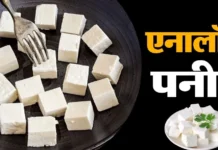 Chandigarh News: पनीर असली है या एनालॉग, ग्राहकों को बताना होगा; खाद्य सुरक्षा विभाग ने दिए निर्देश