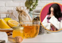 खांसी-जुकाम जल्दी क्यों नहीं होता ठीक? जानें रिकवरी में देरी की 5 बड़ी वजहें और राहत पाने के उपाय